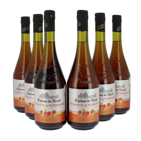 Pommeau de Normandie Breuil 17% 70cl par 6