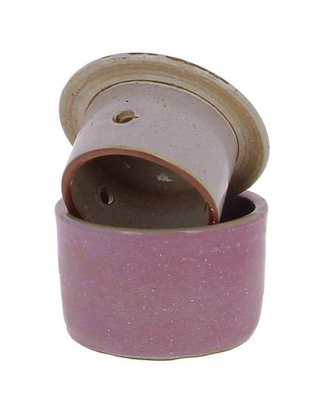 Beurrier conservateur Rose 210g