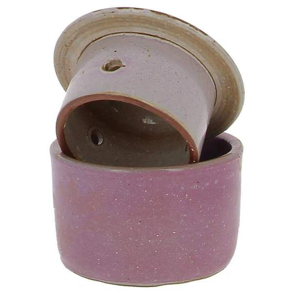 Beurrier conservateur Rose 210g