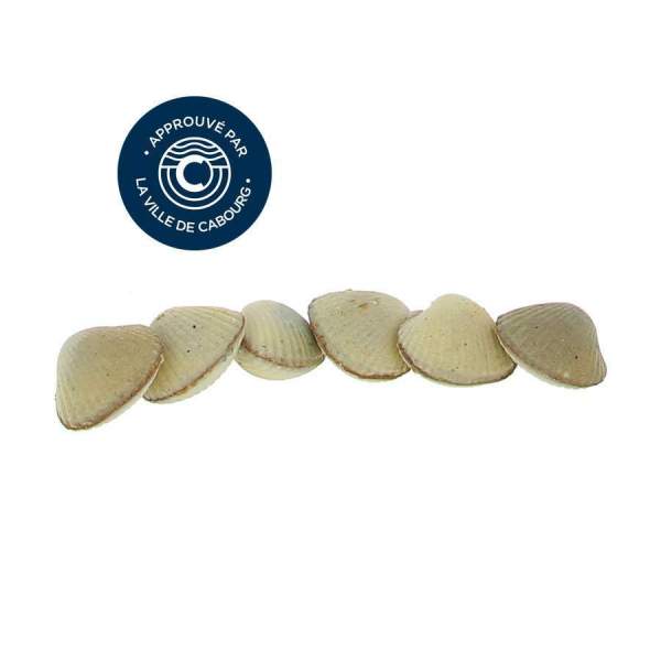 Réglette de 6 coques