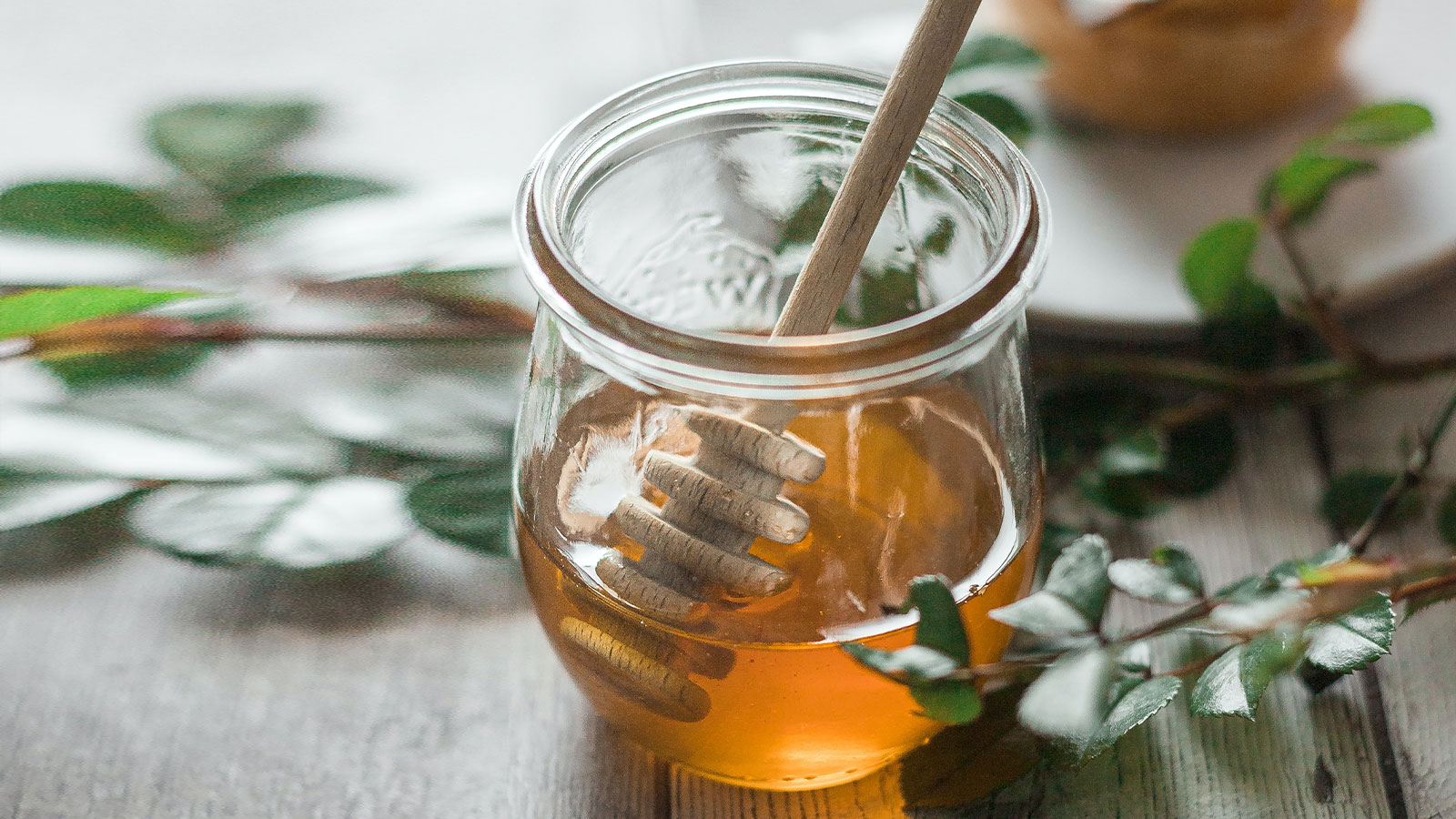 choisissez le miel pour faire de l'hydromel