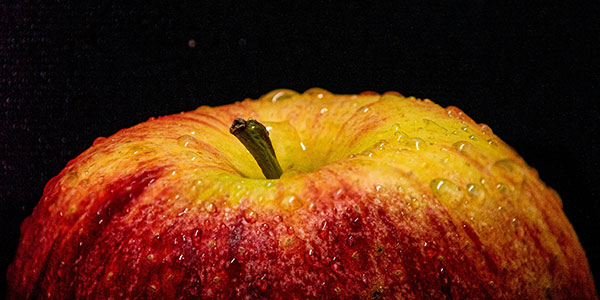 Tout savoir sur le cidre normand