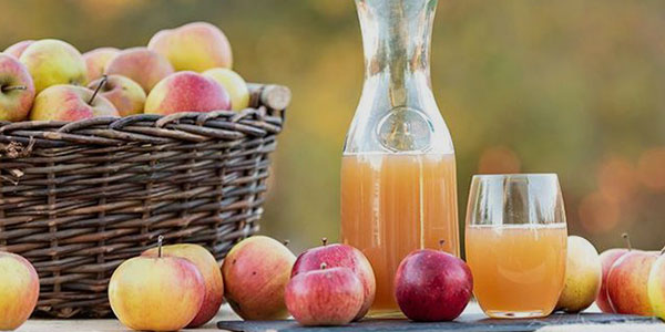 Tout savoir sur les jus de pommes et jus de poires de Normandie